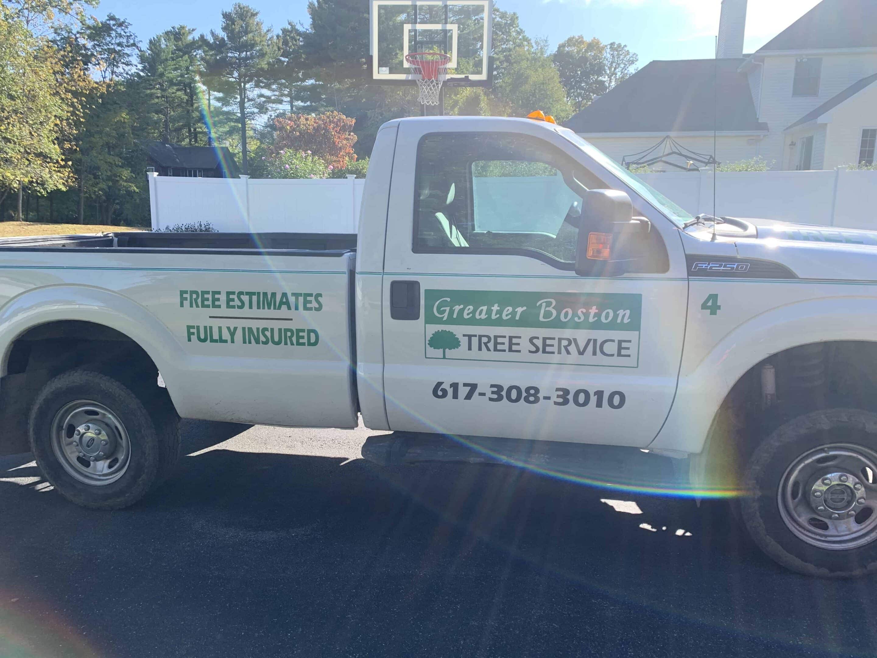 Greater Boston Tree Service